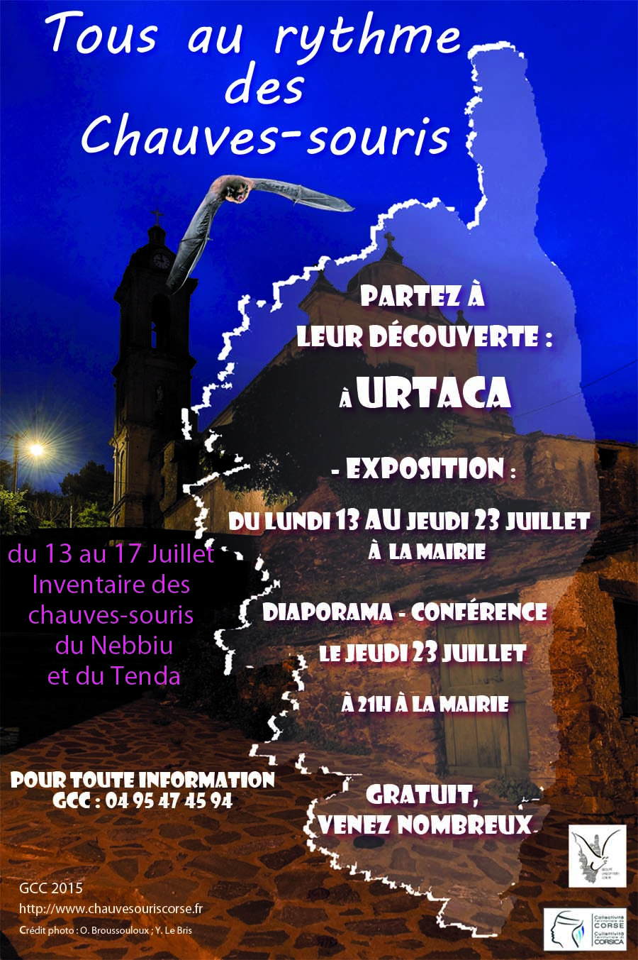 rencontre grand sud chiroptères