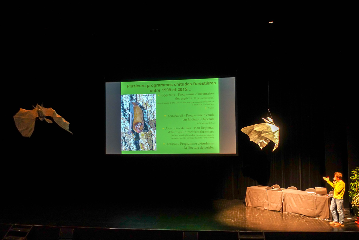 rencontre arboricole 2013